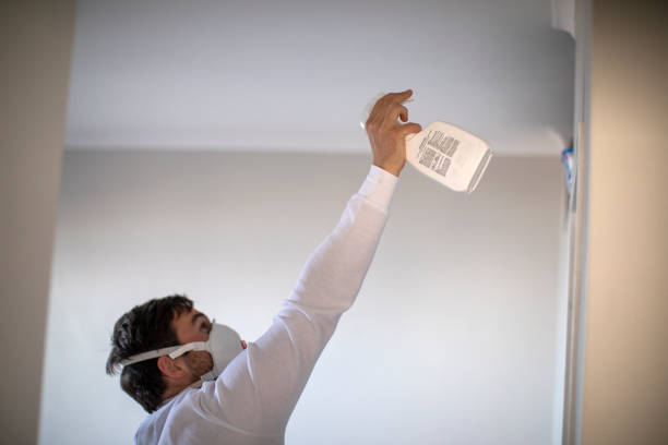 Best Same-Day Mold Removal  in South Park, WY