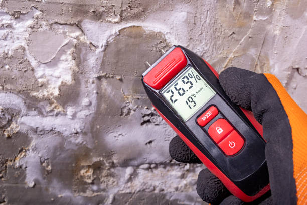 Mold Removal Process in South Park, WY