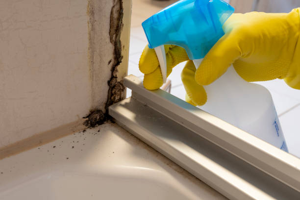 Water Damage Restoration in South Park, WY