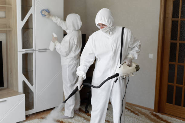 Best Affordable Mold Removal  in South Park, WY