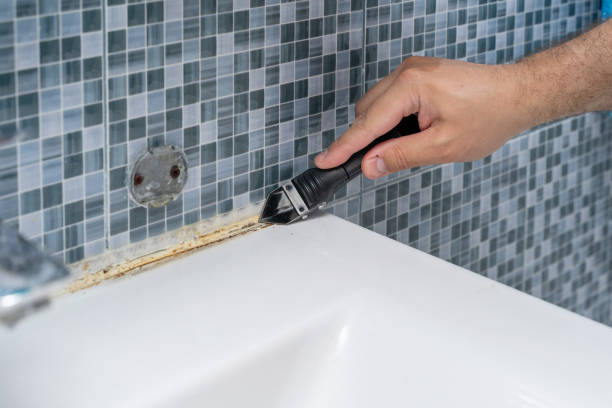 Best Emergency Mold Removal  in South Park, WY